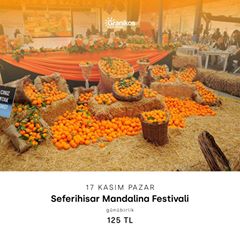 🚌 Seferihisar Mandalina Festivali
✅ Sığacık, Seferihisar, Urla
📍Çanakkale, Lapseki & Biga Kalkışlı
🗓 17 Kasım Pazar
💵 125 TL
🌐 Tur detayı http://www.granikos.com.tr/tour/seferihisar-mandalina-festivali-turu
☎️ 0286 217 1011
☎️ 0533 703 0767.