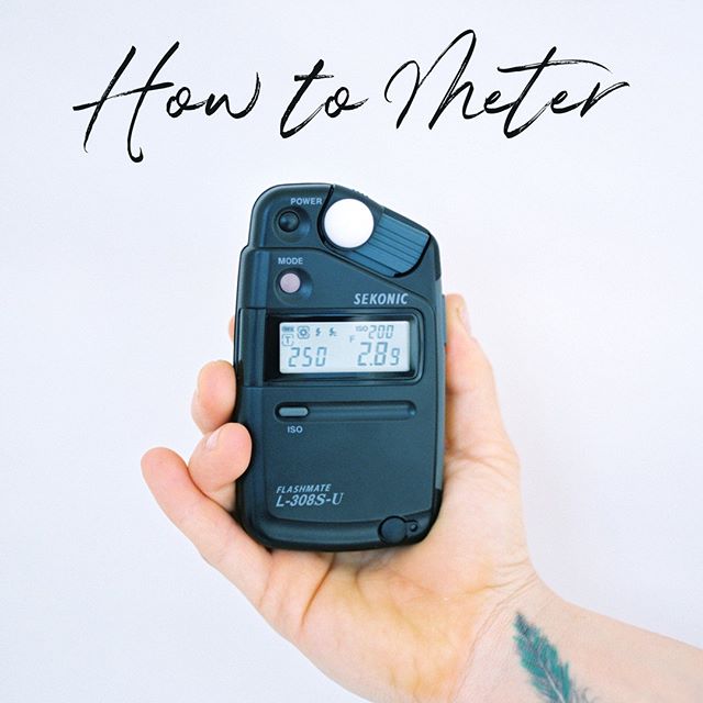#filmtipfriday With so many sources of varying information out there, how do you decipher what the best #metering technique is? After hundreds of thousands of rolls, we have learned that keeping it simple is your best bet for consistent, accurate exposures: ⠀
⠀
🎞 USE A HANDHELD METER. Handheld light meters allow you to accurately read the amount of incoming light hitting your subject.⠀
⠀
🎞 BULB + PLACEMENT. Where you place your light meter in relation to your subject is important. Place your meter directly in front of your subject, bulb out, facing directly toward where you will be standing when you shoot.⠀
⠀
🎞 STRETCH OUT YOUR ARM. And stand to the side of your meter to avoid bouncing any reflective light off of yourself, which would affect the meter reading. ⠀
⠀
💡 UPDATE: Looking for a light meter recommendation? We like the Sekonic L-358 or Gossen DigiPro F2. ⠀
⠀
Do you have questions about metering? What is your favorite technique?⠀
⠀
⠀
📷 by @ashley.faiman of @dancersara1 on #fuji400h with a #pentax645nii at @thegraylab.⠀
⠀
#photovision_insight #profilmlab #filmlab #meteringtechnique #howtometer #sekoniclightmeter #lightmeter @sekonicglobal #sekonic #ishootfujifilm #fujifilm @fujifilm_profilm #exposure #howtoshootfilm #shootfilm #mediumformat #darkroom #dazedandexposed #everybodyfilm #film #filmcamera #filmcommunity #filmphotogeeks #filmsnap #filmwave #filmphotography #analogphotography #onfilm.