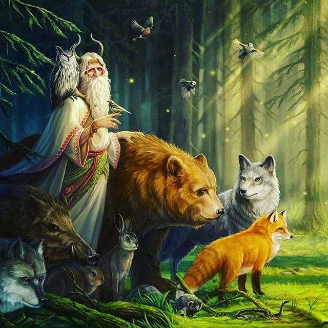 Found an image of me sent to me by a friend when I reach the ripe age of 250 :) One with nature, flowing flowing, may the animals of the forest show me their gifts. 
Each one by one guiding me towards my inner strength, wisdom, courage.
Learning the magick by communing truly with each esper, nymph, fairies, foxes and owls.
Into nature I go, Come and seek me if you dare.
For I no longer will be seeking external. 
The only seeking now is that of the eternal internal soul.
Integrating each fragment of my soul, by union of all that is upon the forests of North Carolina.
I am coming for you. -The Water Magister
#nature #fairies #owl #fox #wolf #bear #northcarolina #hermitmode #hermit #wizard #discipline #forest.