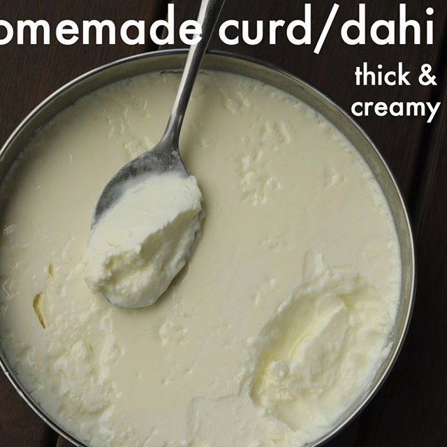 how to make curd | how to make yogurt | dahi recipe | thick curd recipe
#Curd #Yogurt #PowderedMilk #Milk #Hotel #Supermarket #DairyProduct #Curry #Rice #Sugar #Taste #ShelfLife #SkimmedMilk #Ceramic #Temperature #Oven #Volleyball #Tutti #Paneer #Honey #CastIron #Dosa #Tava.