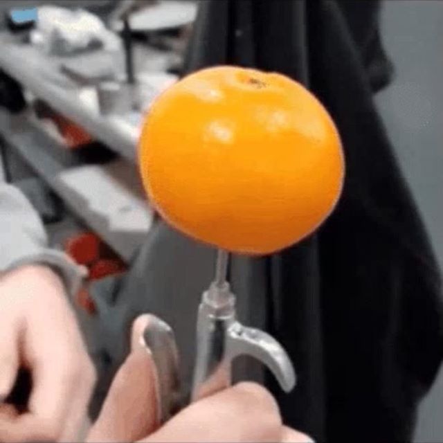 How to peel an orange
•
•
•
#air #pressure #orange #test #peel #creative.